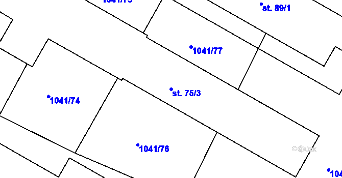 Parcela st. 75/3 v KÚ Dynín, Katastrální mapa