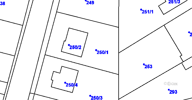 Parcela st. 250/1 v KÚ Dýšina, Katastrální mapa