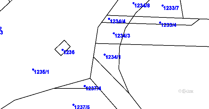 Parcela st. 1234/1 v KÚ Dýšina, Katastrální mapa