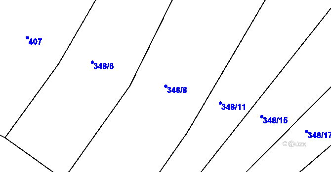 Parcela st. 348/8 v KÚ Džbánice, Katastrální mapa