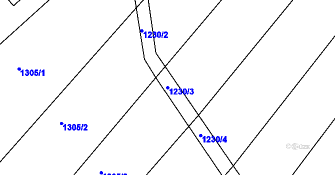 Parcela st. 1230/3 v KÚ Džbánice, Katastrální mapa