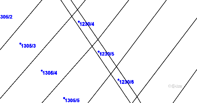 Parcela st. 1230/5 v KÚ Džbánice, Katastrální mapa