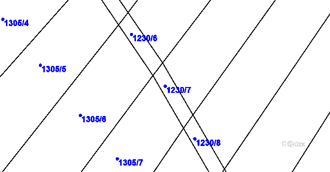 Parcela st. 1230/7 v KÚ Džbánice, Katastrální mapa