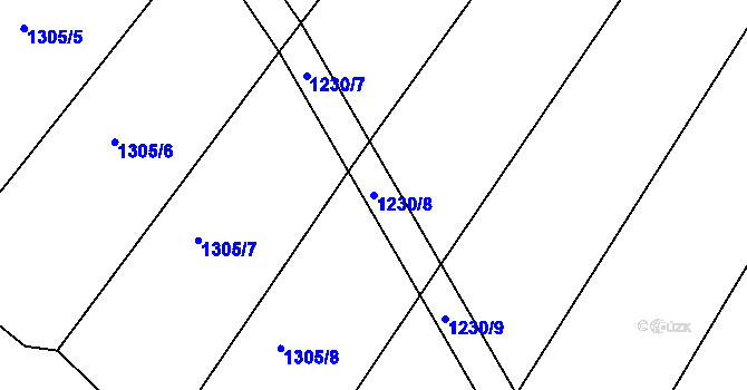 Parcela st. 1230/8 v KÚ Džbánice, Katastrální mapa