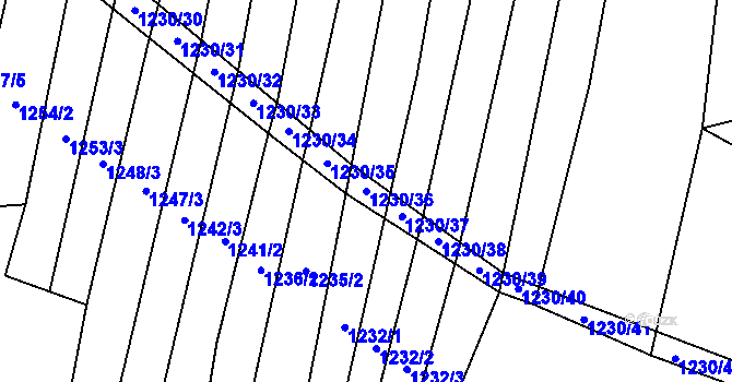 Parcela st. 1230/36 v KÚ Džbánice, Katastrální mapa