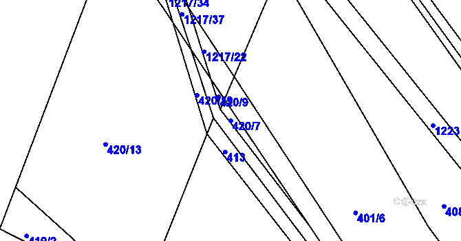Parcela st. 420/7 v KÚ Džbánov u Vysokého Mýta, Katastrální mapa