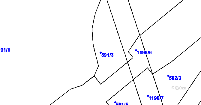 Parcela st. 591/3 v KÚ Džbánov u Vysokého Mýta, Katastrální mapa
