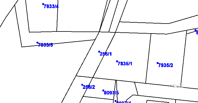 Parcela st. 256/1 v KÚ Panské Nové Dvory, Katastrální mapa