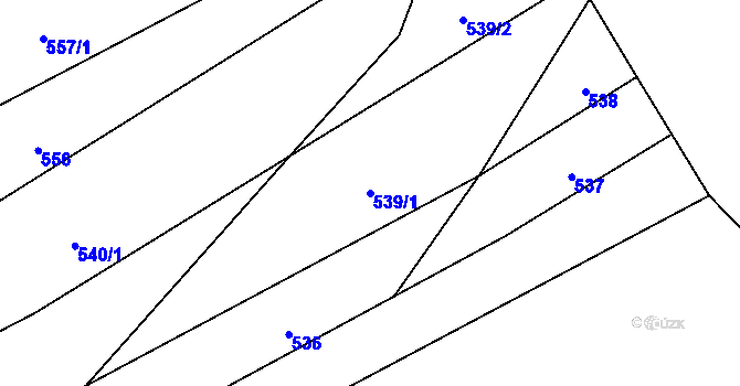 Parcela st. 539/1 v KÚ Frýdnava, Katastrální mapa