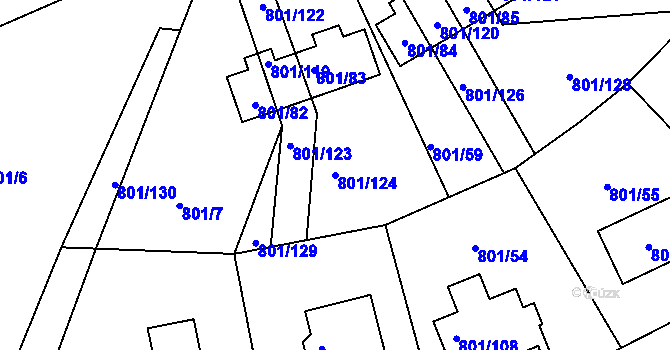 Parcela st. 801/124 v KÚ Frymburk, Katastrální mapa