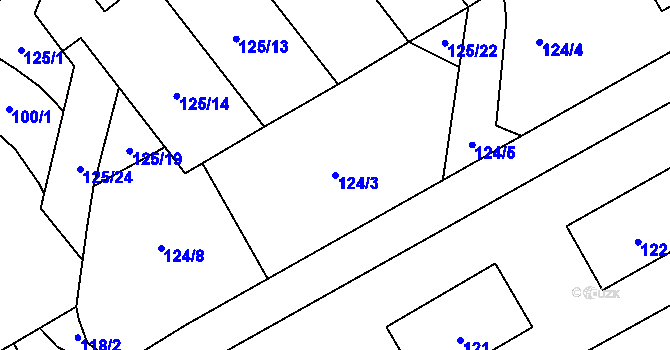 Parcela st. 124/3 v KÚ Frymburk, Katastrální mapa