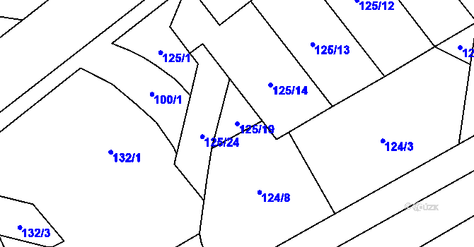 Parcela st. 125/19 v KÚ Frymburk, Katastrální mapa