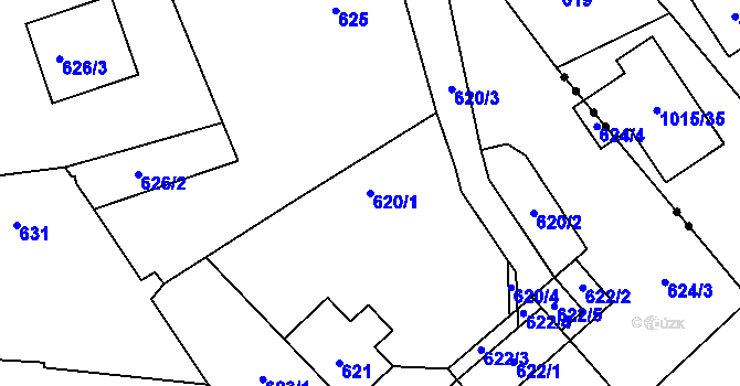 Parcela st. 620/1 v KÚ Dolní Ves, Katastrální mapa