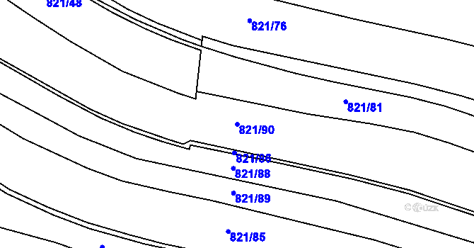 Parcela st. 821/90 v KÚ Dolní Ves, Katastrální mapa