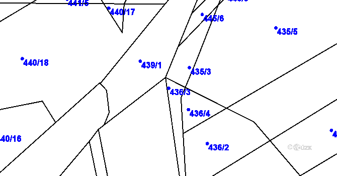 Parcela st. 436/3 v KÚ Vítová, Katastrální mapa