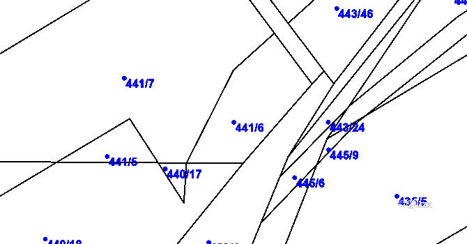 Parcela st. 441/6 v KÚ Vítová, Katastrální mapa