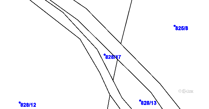 Parcela st. 828/17 v KÚ Jerlochovice, Katastrální mapa