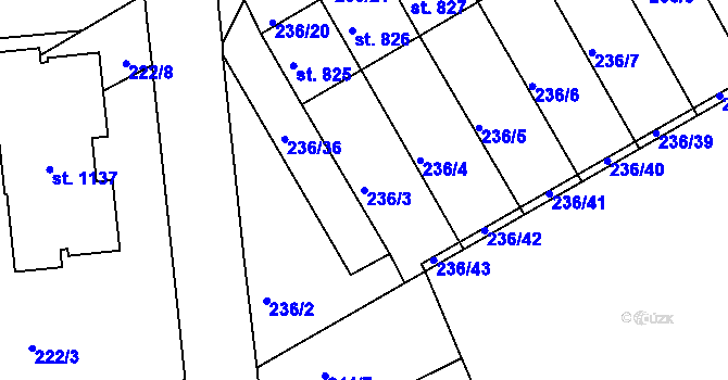 Parcela st. 236/3 v KÚ Golčův Jeníkov, Katastrální mapa