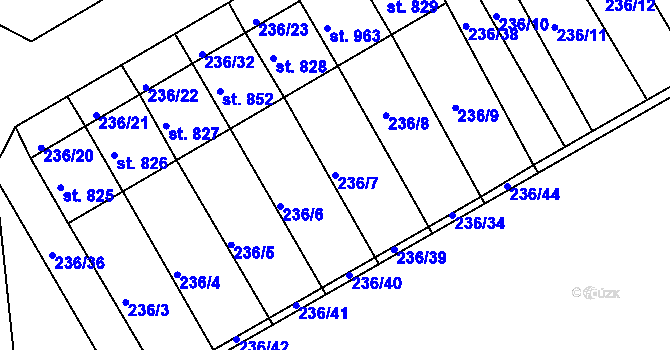Parcela st. 236/7 v KÚ Golčův Jeníkov, Katastrální mapa