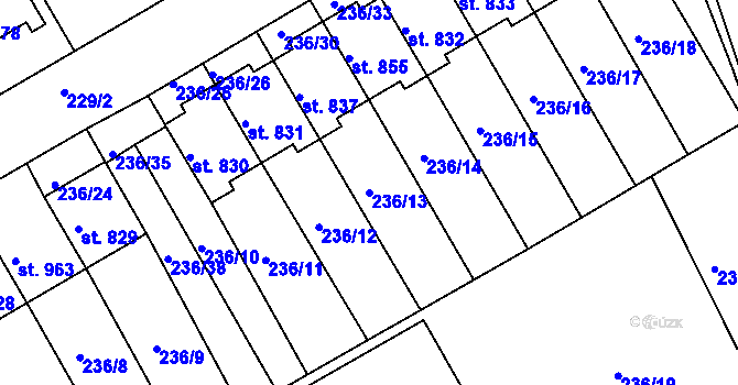 Parcela st. 236/13 v KÚ Golčův Jeníkov, Katastrální mapa