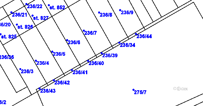 Parcela st. 236/39 v KÚ Golčův Jeníkov, Katastrální mapa
