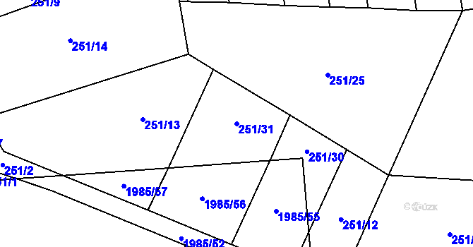 Parcela st. 251/31 v KÚ Louky nad Dřevnicí, Katastrální mapa