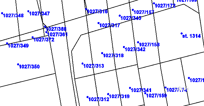 Parcela st. 1027/318 v KÚ Prštné, Katastrální mapa