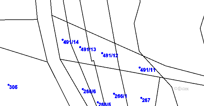 Parcela st. 491/12 v KÚ Grešlové Mýto, Katastrální mapa