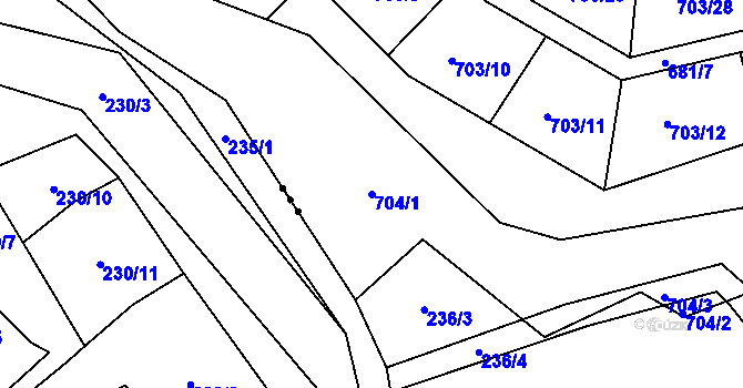 Parcela st. 704/1 v KÚ Habartov, Katastrální mapa