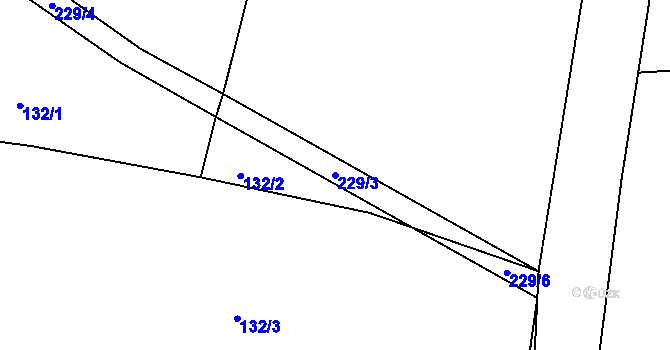Parcela st. 229/3 v KÚ Souboř, Katastrální mapa