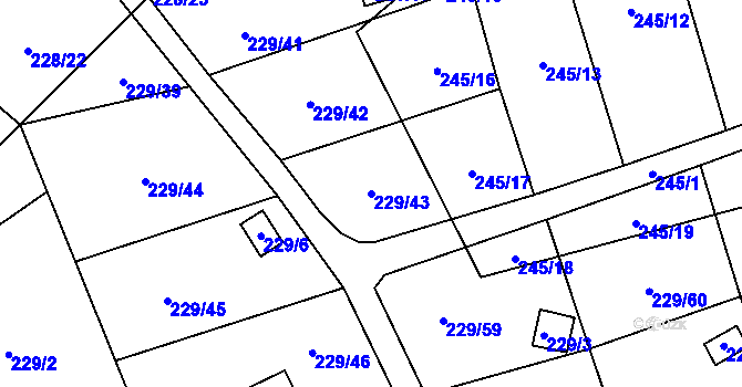 Parcela st. 229/43 v KÚ Strážky u Habrovic, Katastrální mapa