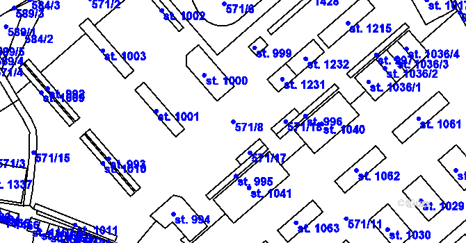 Parcela st. 571/8 v KÚ Háje u Chebu, Katastrální mapa