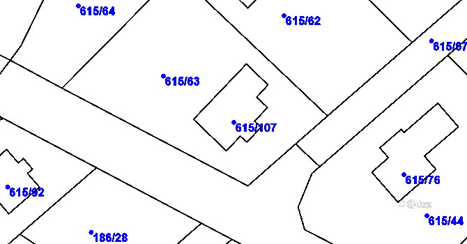 Parcela st. 615/107 v KÚ Hájek u Ostrova, Katastrální mapa