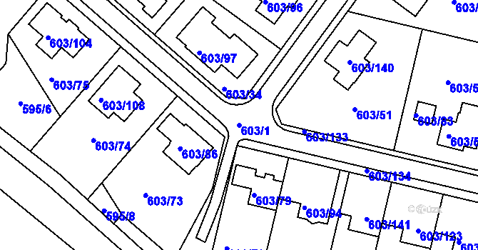 Parcela st. 603/1 v KÚ Hamry nad Sázavou, Katastrální mapa