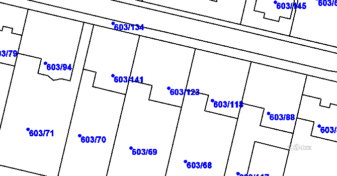 Parcela st. 603/123 v KÚ Hamry nad Sázavou, Katastrální mapa