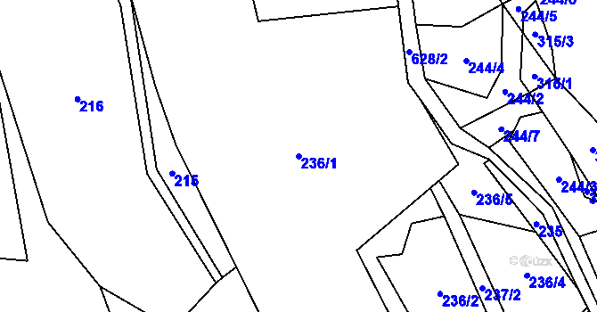 Parcela st. 236/1 v KÚ Hynčice nad Moravou, Katastrální mapa