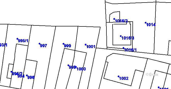 Parcela st. 1001 v KÚ Šumbark, Katastrální mapa