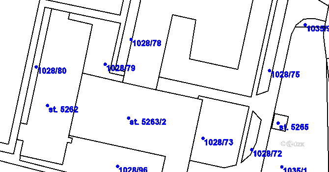 Parcela st. 1028/99 v KÚ Havlíčkův Brod, Katastrální mapa