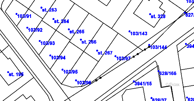 Parcela st. 267 v KÚ Perknov, Katastrální mapa