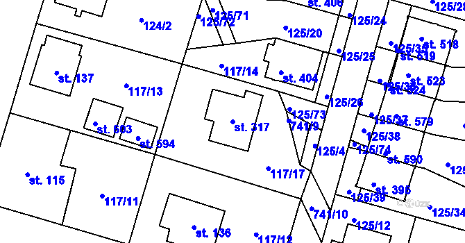 Parcela st. 317 v KÚ Perknov, Katastrální mapa