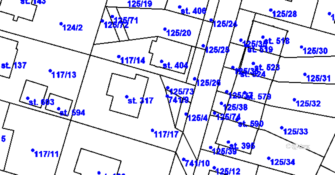 Parcela st. 125/73 v KÚ Perknov, Katastrální mapa