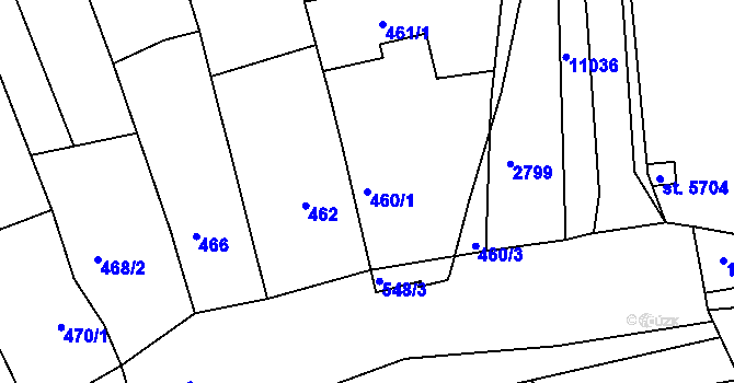 Parcela st. 460/1 v KÚ Havřice, Katastrální mapa
