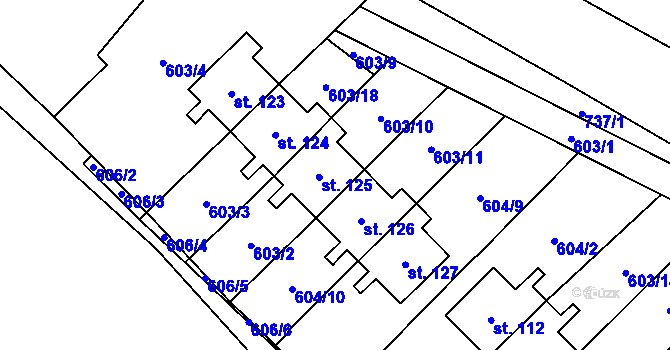 Parcela st. 125 v KÚ Hejnice u Žamberka, Katastrální mapa