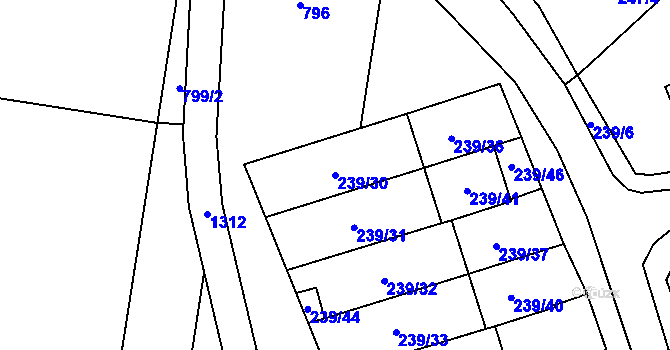 Parcela st. 239/30 v KÚ Henčlov, Katastrální mapa