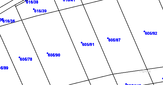Parcela st. 605/91 v KÚ Herálec, Katastrální mapa