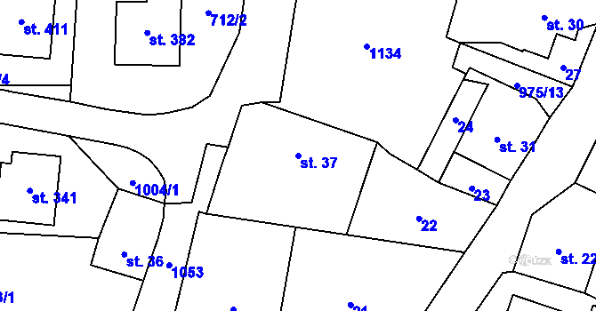 Parcela st. 37 v KÚ Český Herálec, Katastrální mapa