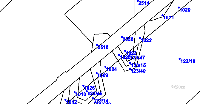 Parcela st. 1047/55 v KÚ Český Herálec, Katastrální mapa