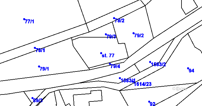 Parcela st. 77 v KÚ Fojtovice u Heřmanova, Katastrální mapa