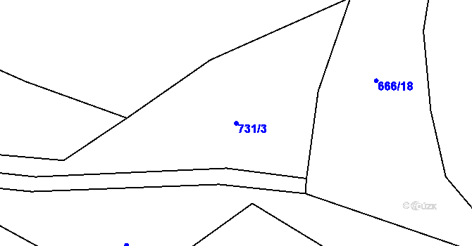 Parcela st. 731/3 v KÚ Fojtovice u Heřmanova, Katastrální mapa