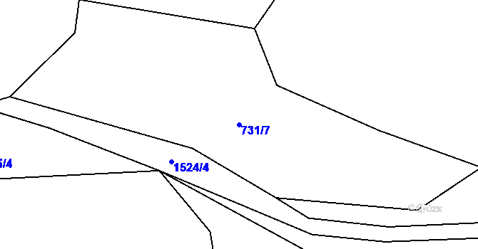 Parcela st. 731/7 v KÚ Fojtovice u Heřmanova, Katastrální mapa